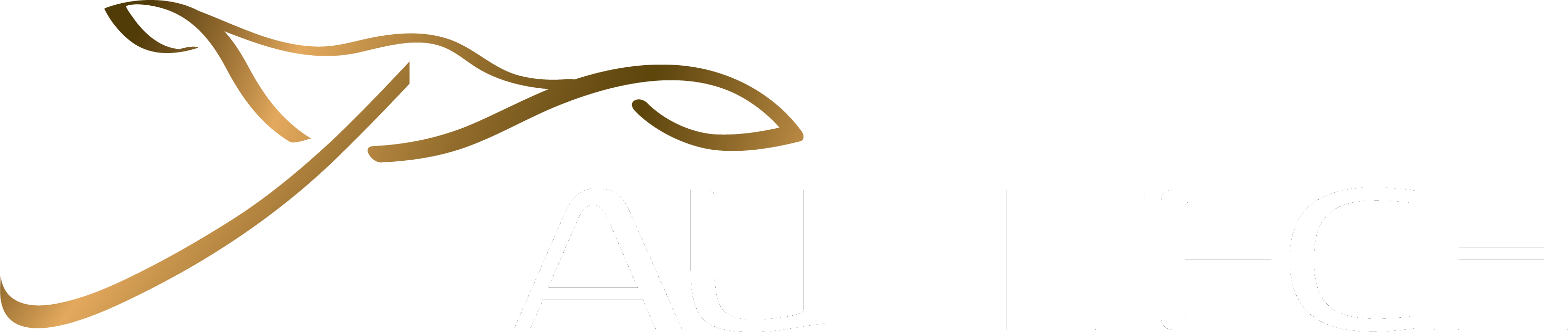 Nautitech Blanc fond transparent